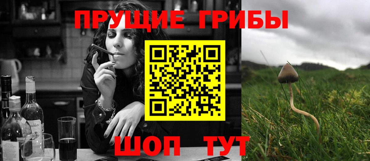 Галлюциногенные грибы MAGIC MUSHROOMS  Псилоцибиновые грибы MAGIC MUSHROOMS  Ефремов  Вход с VPN 